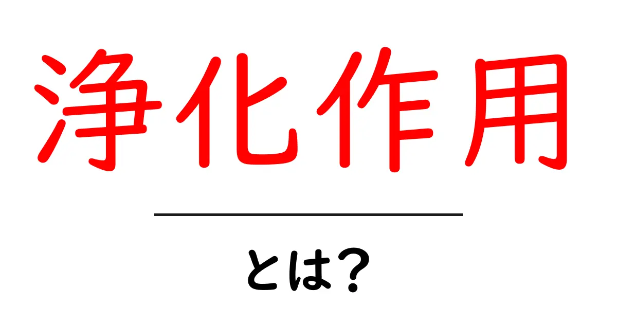 浄化作用とは?知られざる力と効果を解説!共起語・同意語も併せて解説!