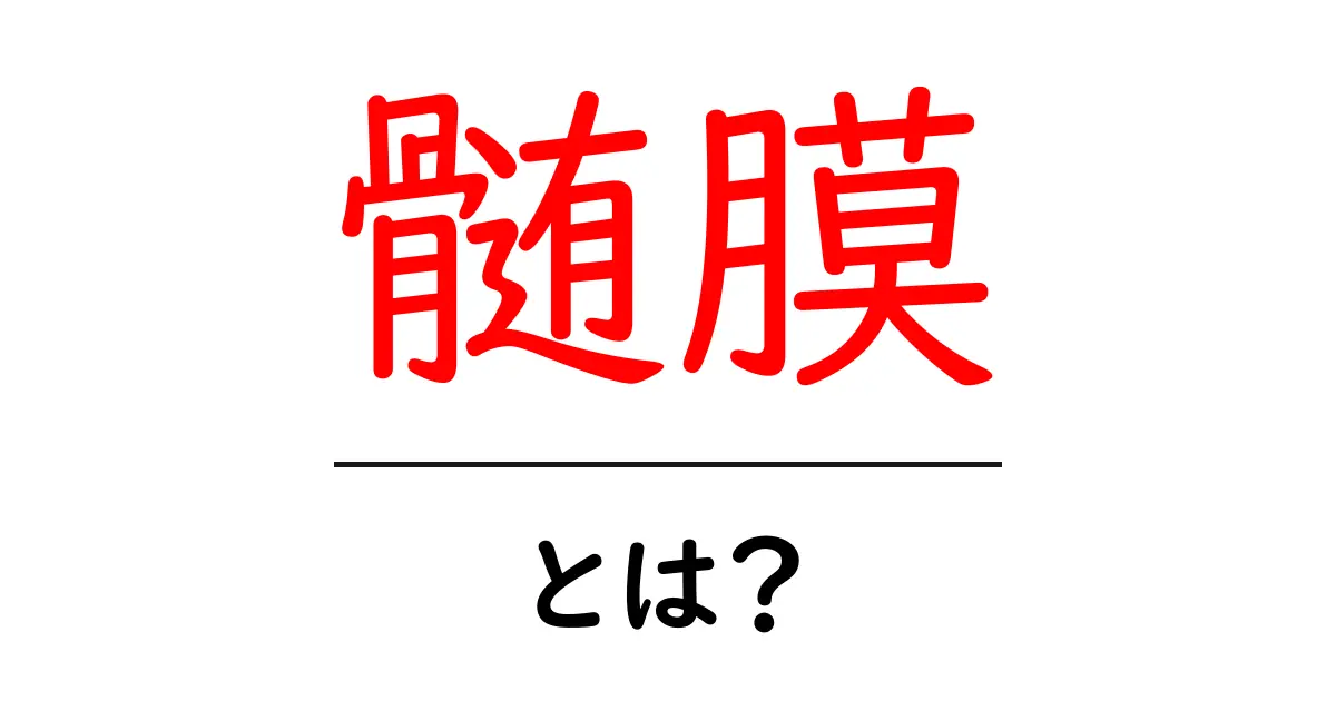 髄膜とは?その役割や種類をわかりやすく解説!共起語・同意語も併せて解説!
