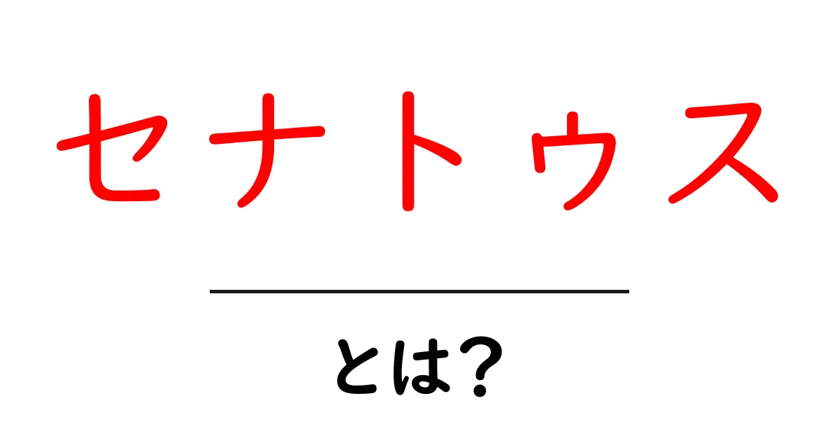 セナトゥスとは何か?その意味と背景をわかりやすく解説!共起語・同意語も併せて解説!