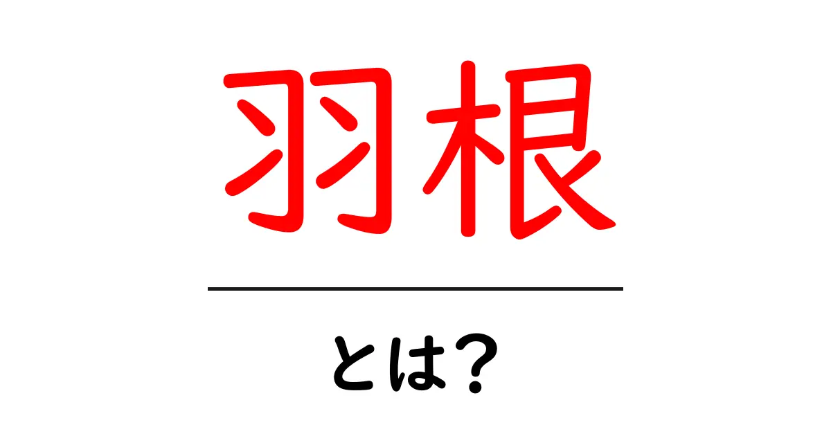 羽根とは?その意味や種類をわかりやすく解説します!共起語・同意語も併せて解説!