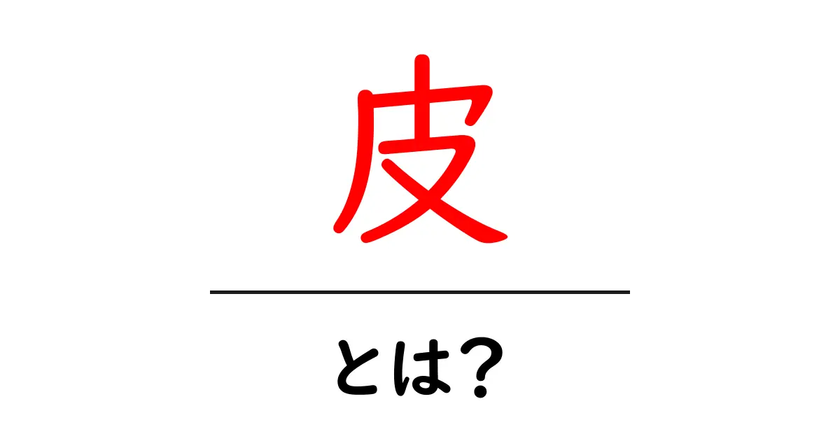 「皮」とは?その役割と種類をわかりやすく解説共起語・同意語も併せて解説!