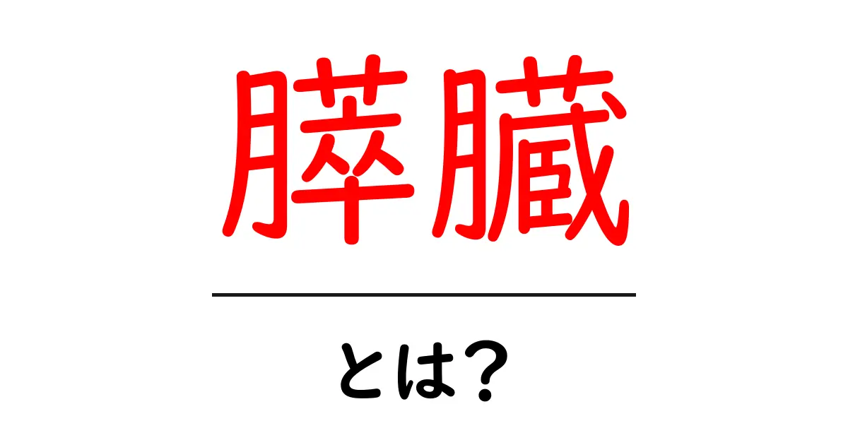 膵臓とは？健康に役立つ基本知識とその重要性共起語・同意語も併せて解説！