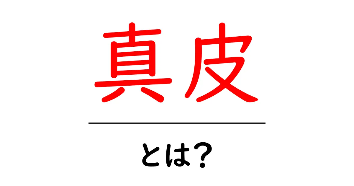真皮とは何か?肌の奥深くに秘められた役割を解説共起語・同意語も併せて解説!