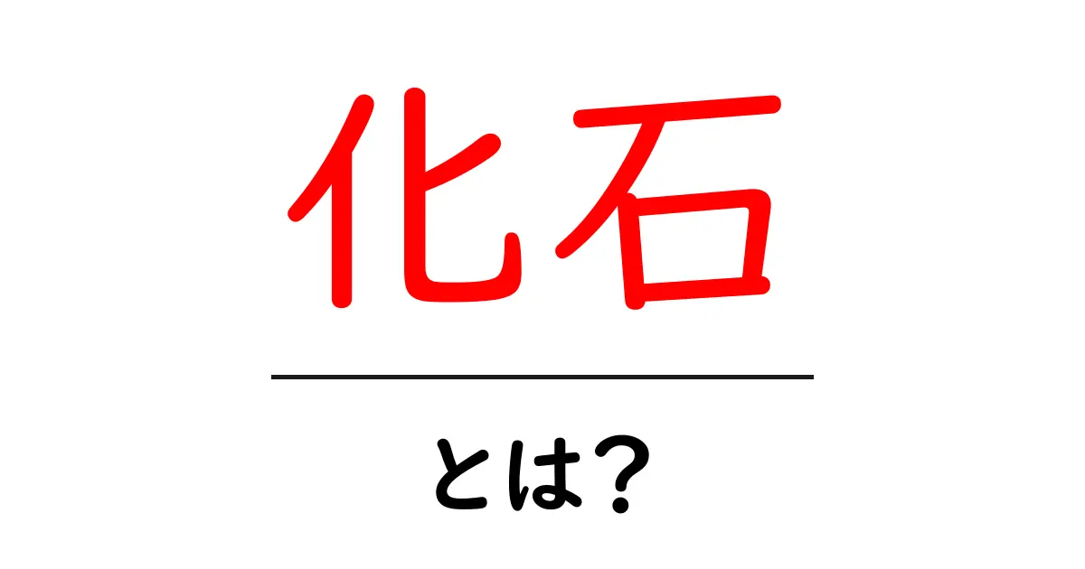 化石とは？知っておきたい化石の基本と魅力共起語・同意語も併せて解説！