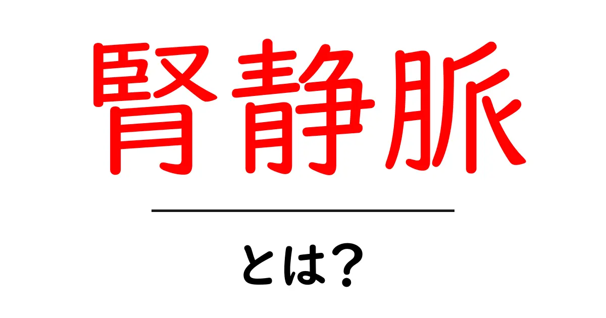 腎静脈とは?その役割と重要性をわかりやすく解説共起語・同意語も併せて解説!