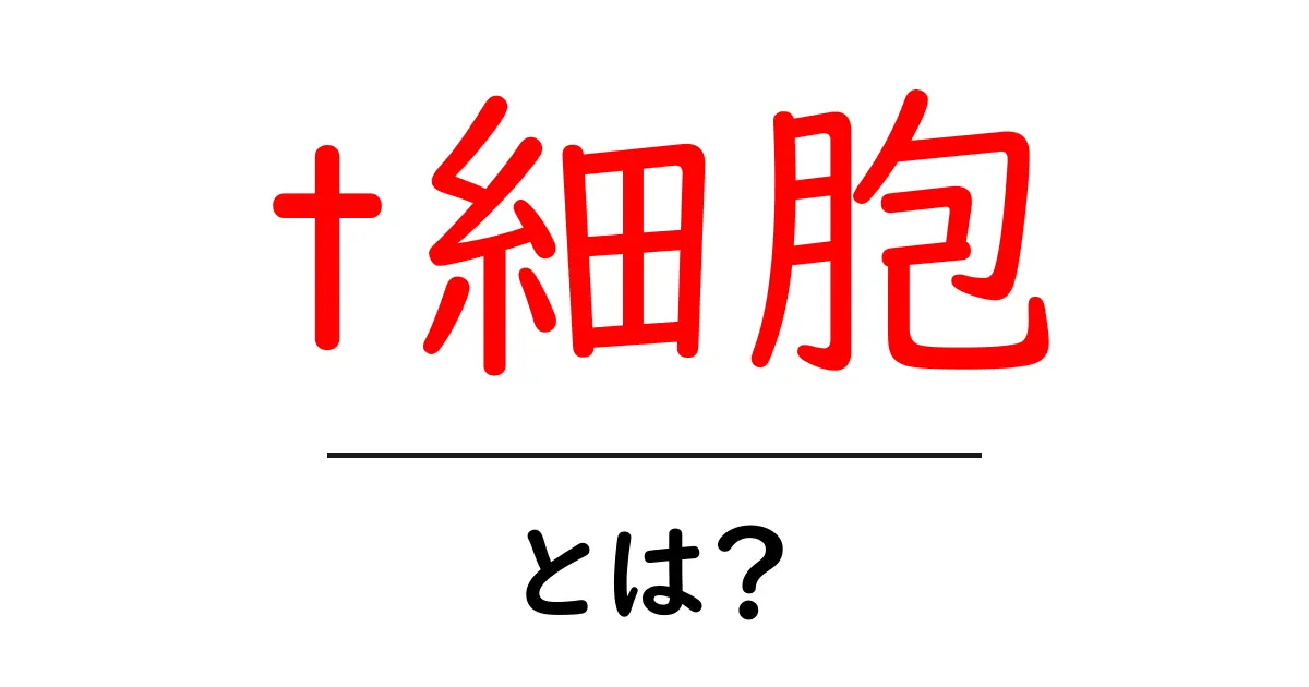 あなたの免疫を守る！t細胞とは何か？共起語・同意語も併せて解説！
