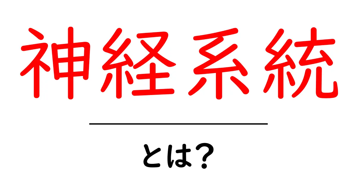 神経系統とは?私たちの体を繋ぐ重要なネットワーク共起語・同意語も併せて解説!