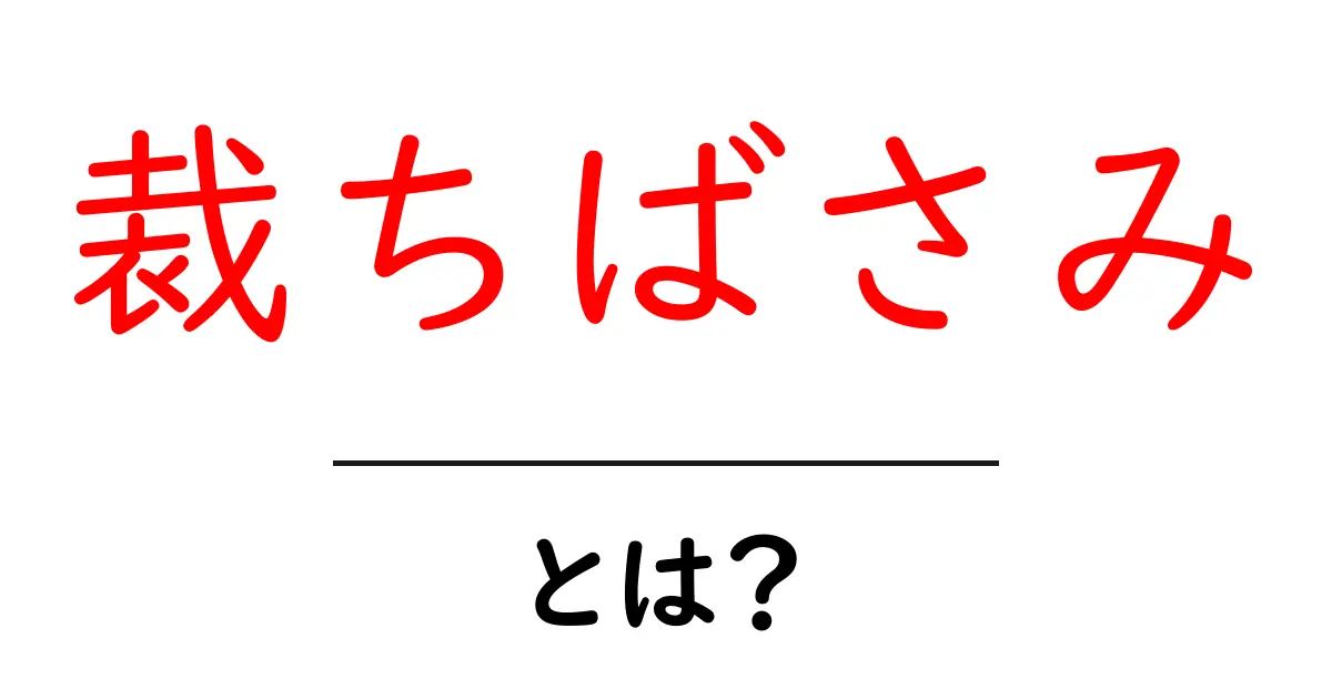 裁ちばさみとは?初心者にもわかりやすい使い方や種類を解説!共起語・同意語も併せて解説!