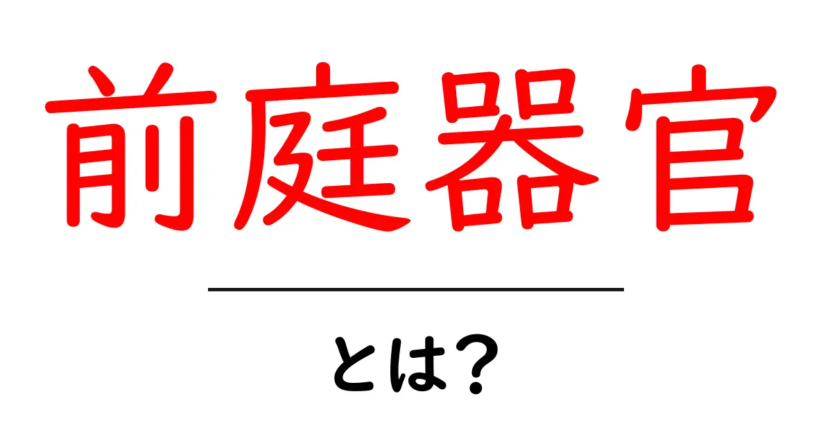 前庭器官とは？体のバランスを司る不思議なしくみを解説！共起語・同意語も併せて解説！