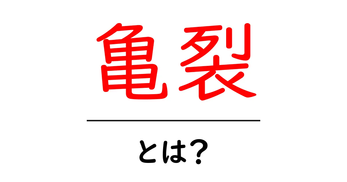 「亀裂」とは?その意味や使い方について詳しく解説共起語・同意語も併せて解説!