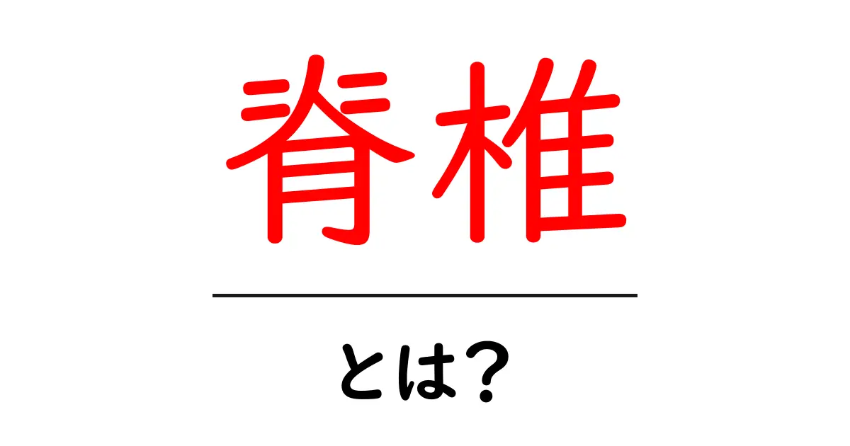 脊椎とは？私たちの体の大切な骨の秘密を知ろう！共起語・同意語も併せて解説！