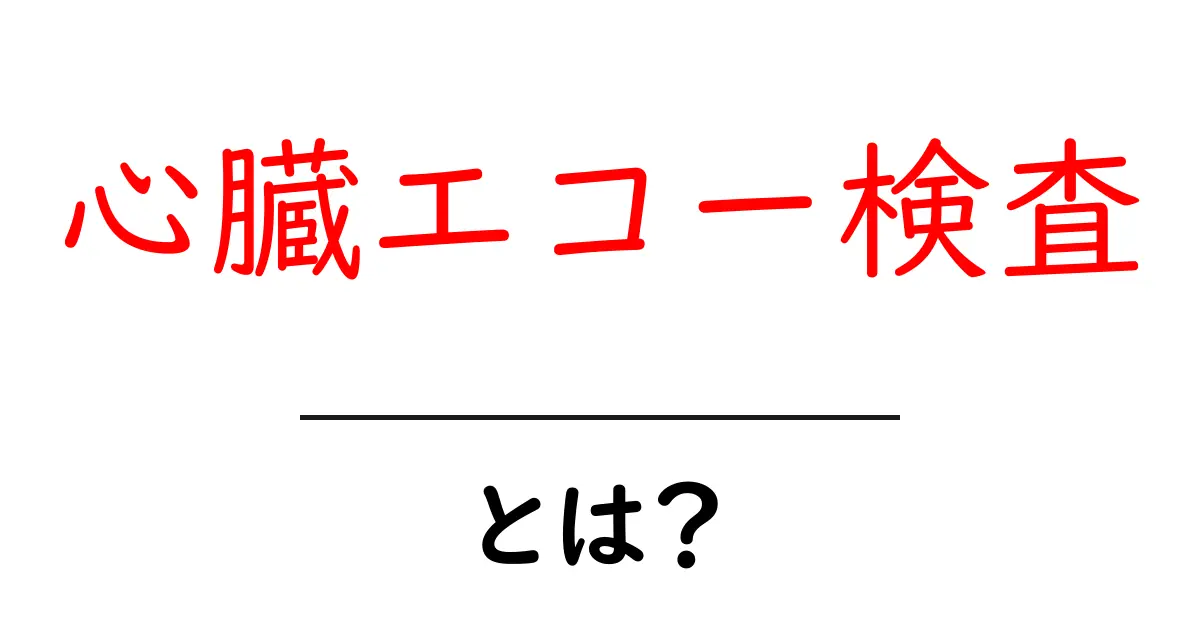 心臓エコー検査とは?その仕組みと必要性を解説します!共起語・同意語も併せて解説!