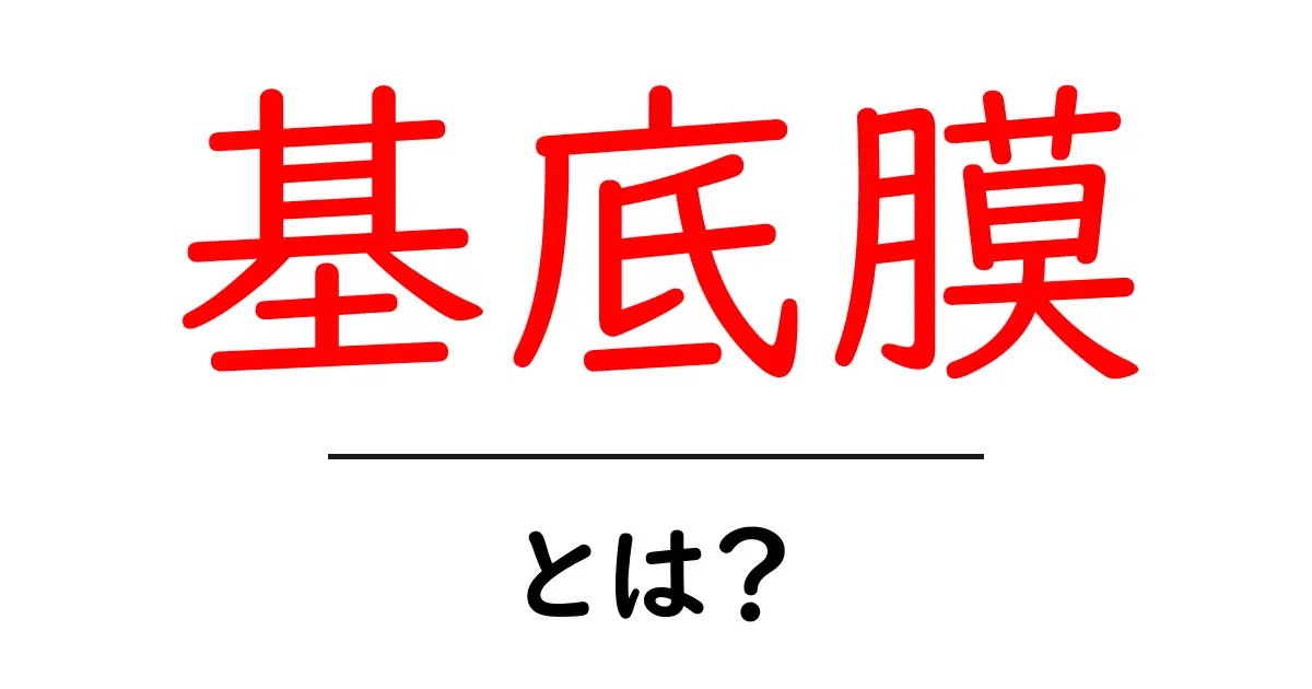 基底膜とは?その役割と重要性をわかりやすく解説!共起語・同意語も併せて解説!