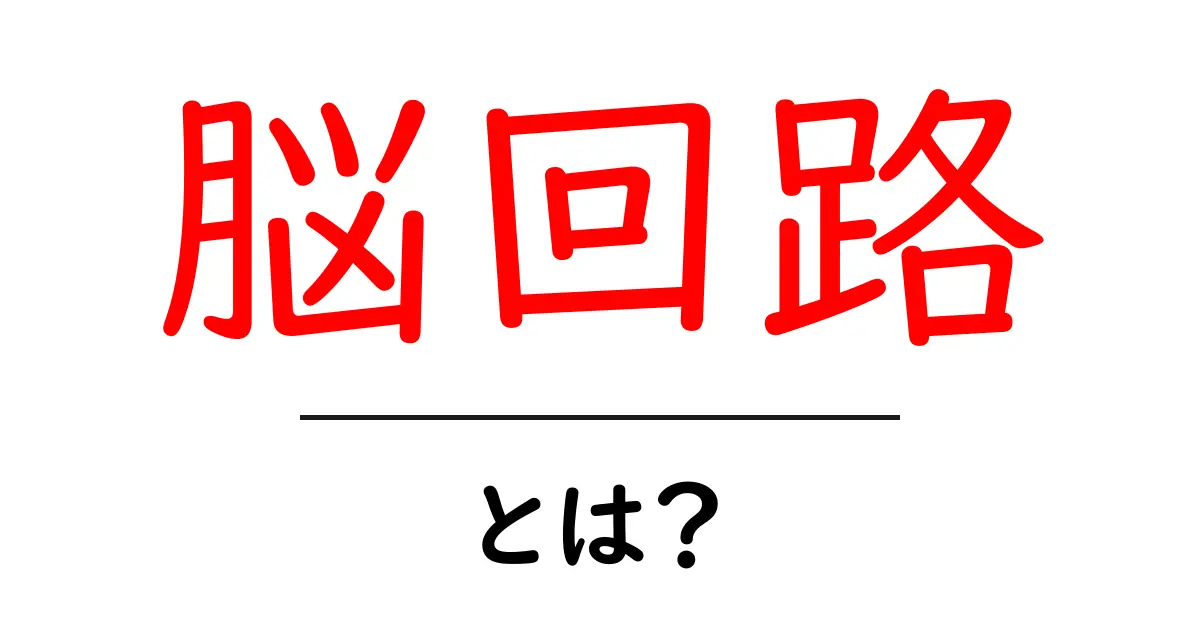 脳回路とは?私たちの思考や行動を支える神秘のネットワーク共起語・同意語も併せて解説!