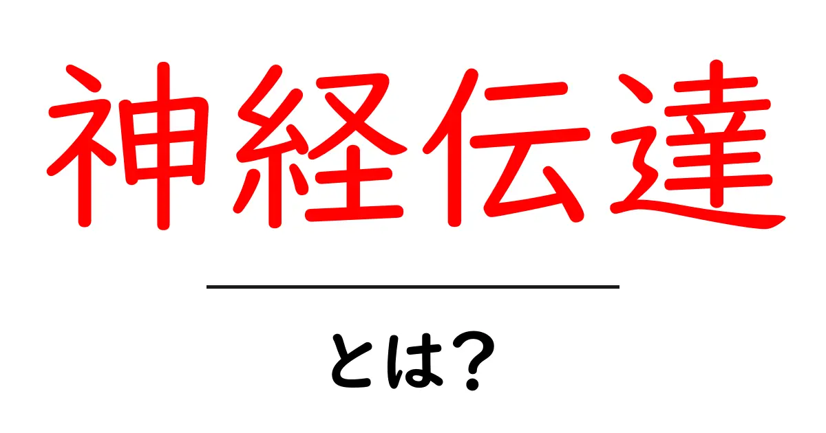 神経伝達とは?私たちの体の中のメッセージのやり取りを解説!共起語・同意語も併せて解説!