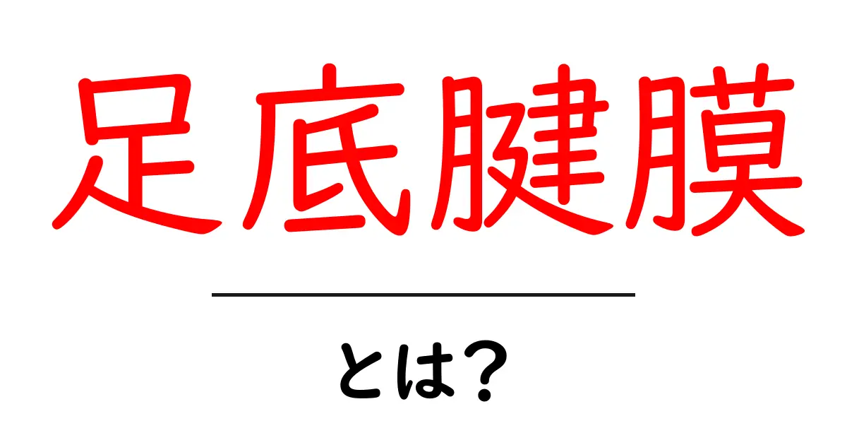 足底腱膜とは?その役割と痛みの原因を解説!共起語・同意語も併せて解説!