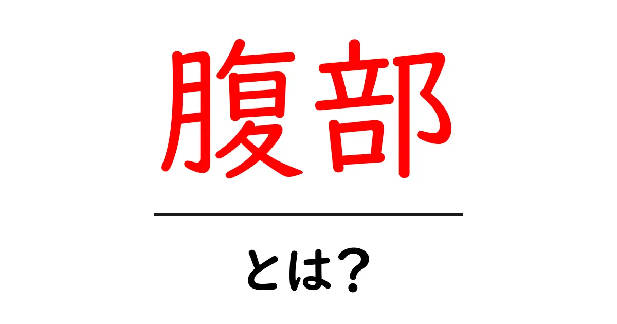 腹部とは?構造や機能、健康と関連する問題について知ろう共起語・同意語も併せて解説!