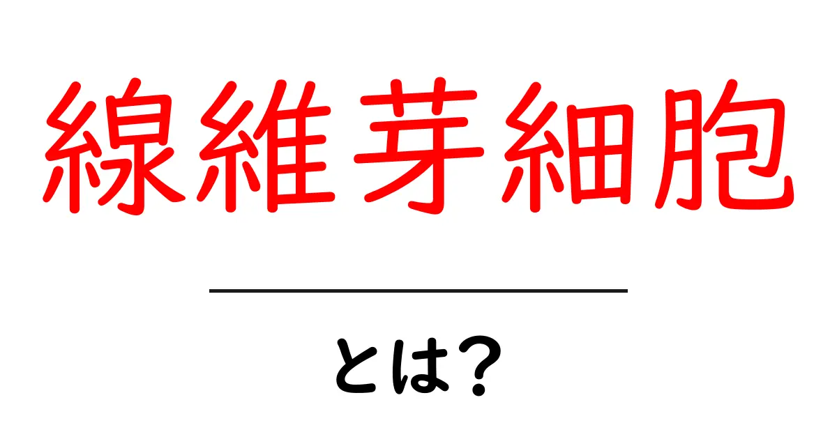 線維芽細胞とは?その役割と重要性をわかりやすく解説!共起語・同意語も併せて解説!