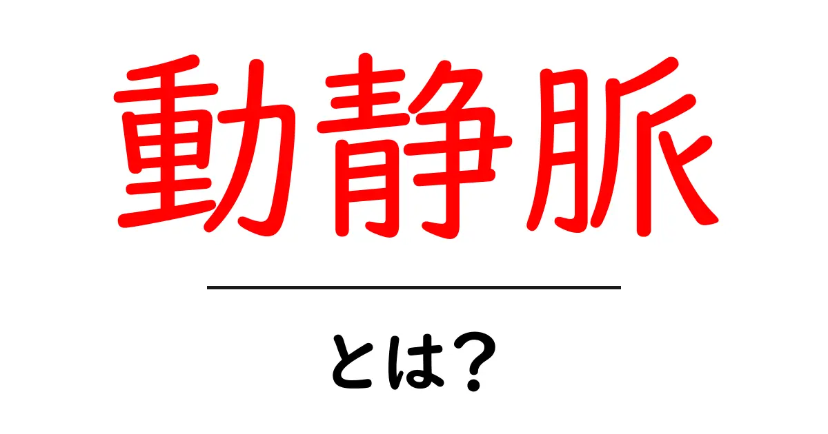 動静脈って何?体の大切な血管の役割を知ろう!共起語・同意語も併せて解説!