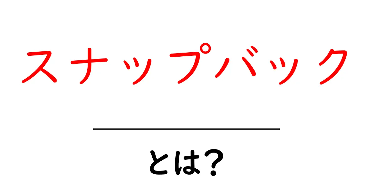 スナップバックとは？その魅力と人気の理由を解説！共起語・同意語も併せて解説！