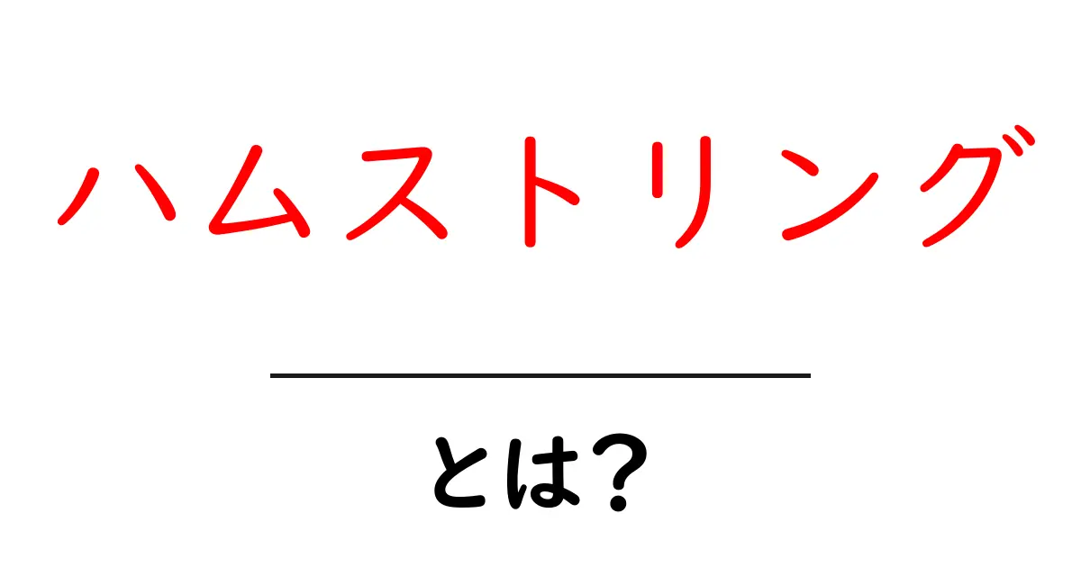 ハムストリングとは?その役割とトレーニング方法共起語・同意語も併せて解説!