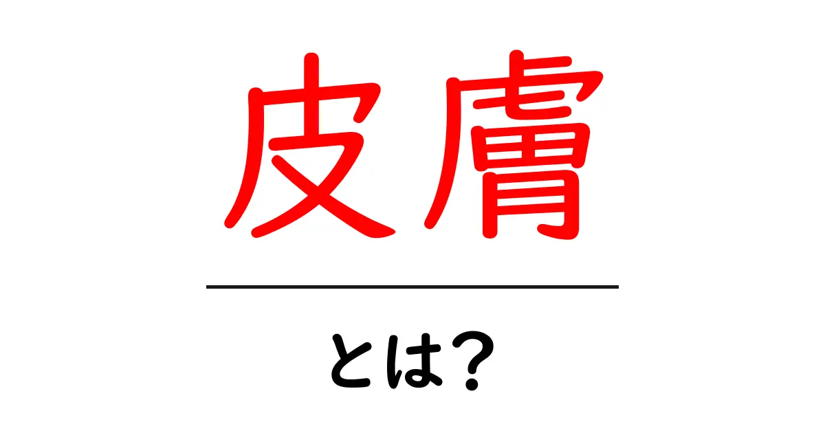皮膚とは?その重要性と役割を知ろう!共起語・同意語も併せて解説!