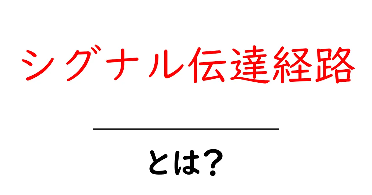 シグナル伝達経路とは?体の中のメッセージを伝える仕組みをわかりやすく解説!共起語・同意語も併せて解説!