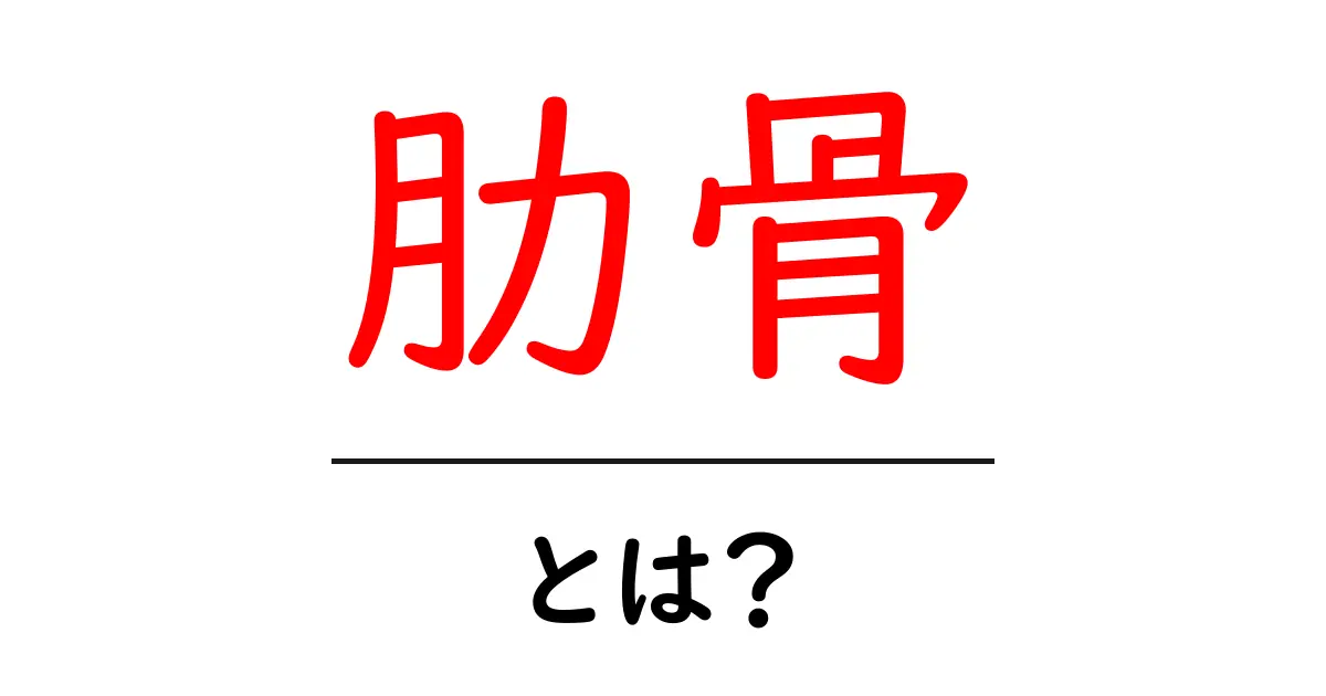 肋骨とは?私たちの体を支える大切な骨の役割と知識共起語・同意語も併せて解説!