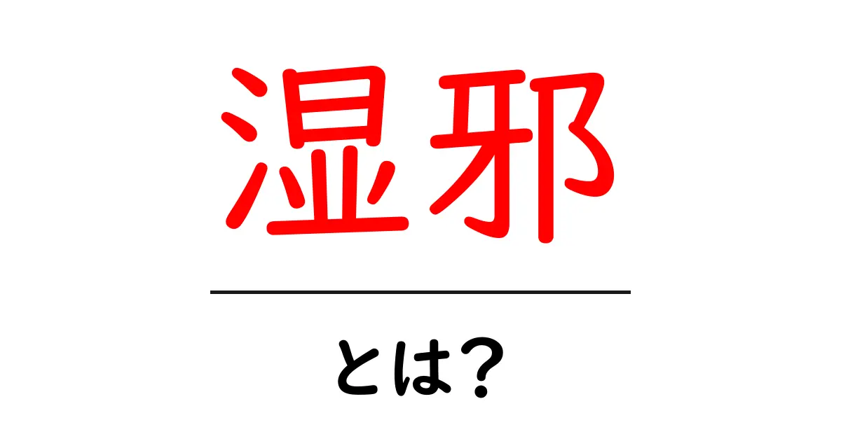 湿邪とは?その意味や体への影響をわかりやすく解説!共起語・同意語も併せて解説!