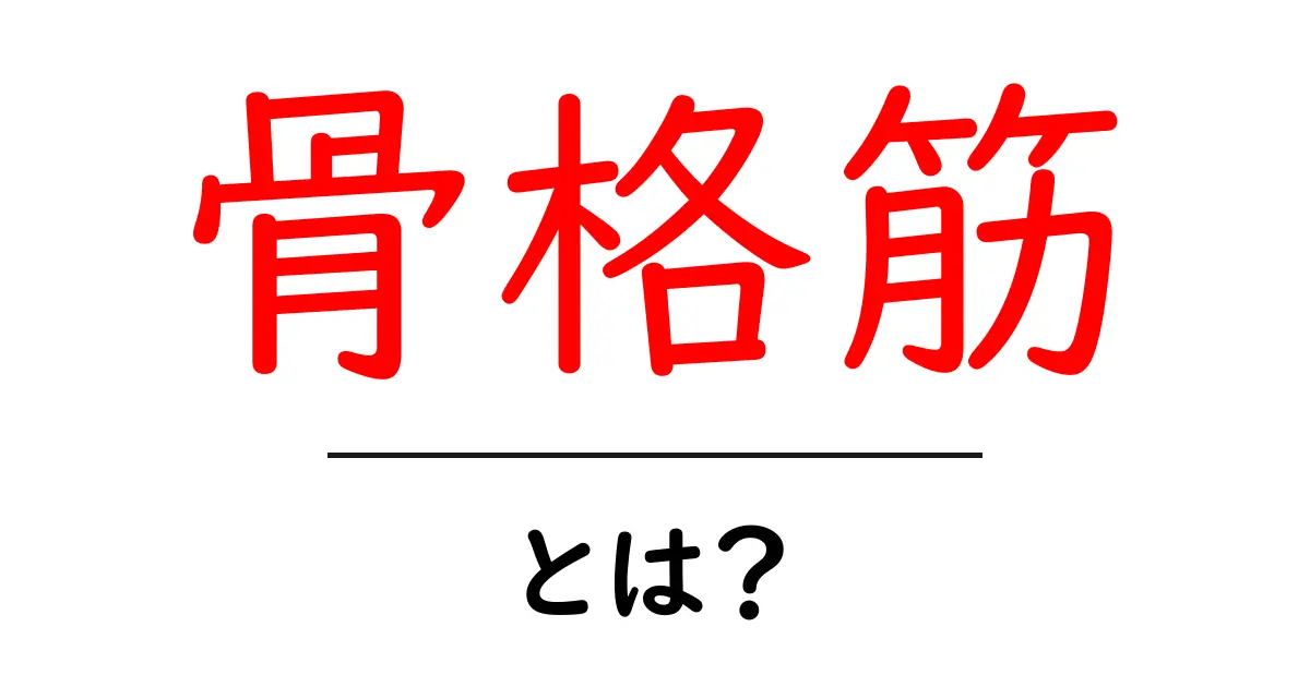 骨格筋とは?体を支える大切な筋肉の役割を解説します!共起語・同意語も併せて解説!
