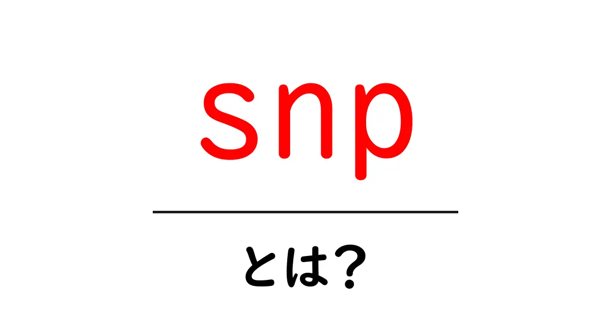 snpとは?知っておきたい基礎知識とその活用法共起語・同意語も併せて解説!