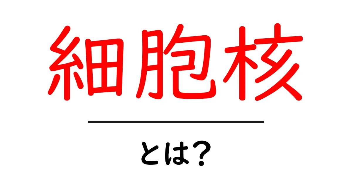 細胞核とは？基本を押さえて理解しよう！共起語・同意語も併せて解説！
