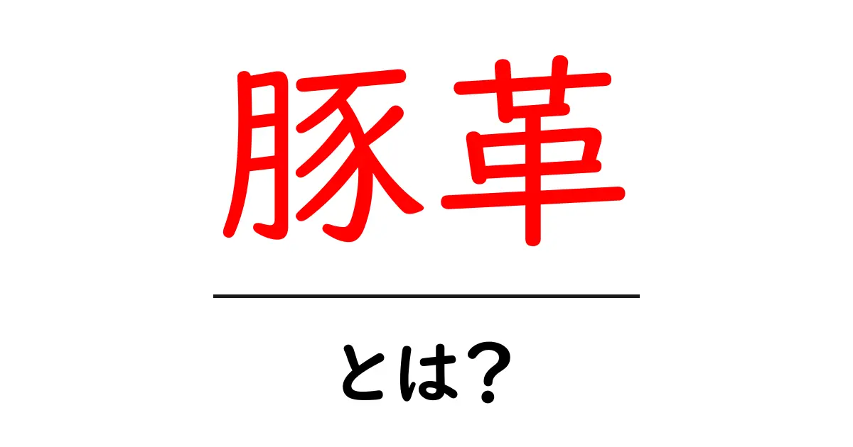 豚革とは?その特性や使い道を徹底解説!共起語・同意語も併せて解説!