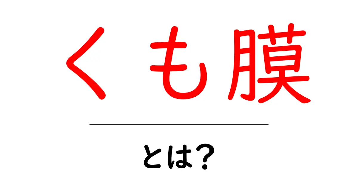 くも膜とは？その役割と重要性をわかりやすく解説共起語・同意語も併せて解説！