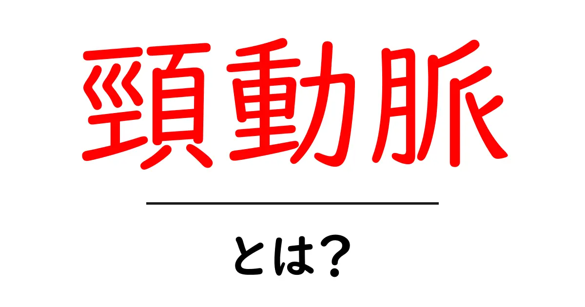 頸動脈とは?その役割と重要性をわかりやすく解説!共起語・同意語も併せて解説!