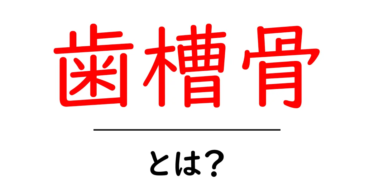 歯槽骨とは?健康な口腔を支える重要な骨について知ろう!共起語・同意語も併せて解説!