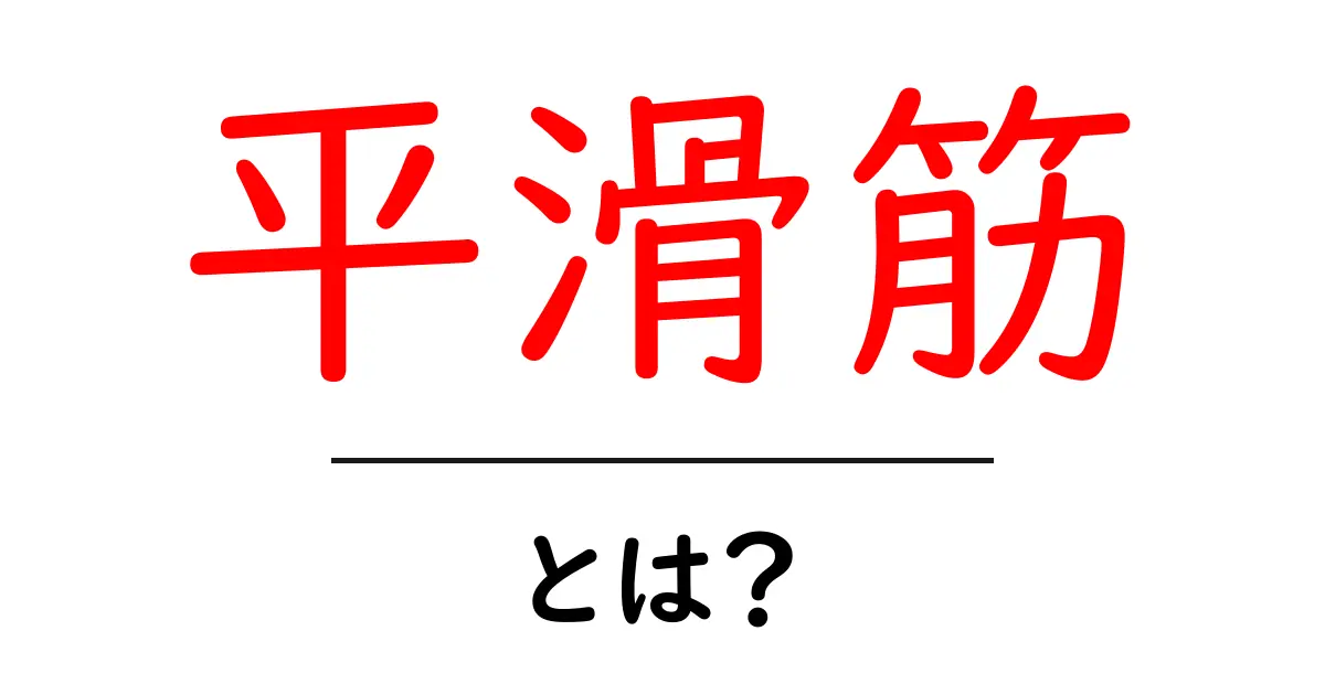 平滑筋とは？その役割と重要性についてわかりやすく解説！共起語・同意語も併せて解説！