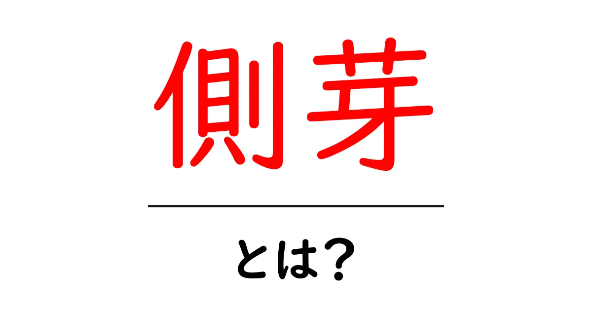 側芽とは?植物の成長にかかせない重要な部分を解説共起語・同意語も併せて解説!