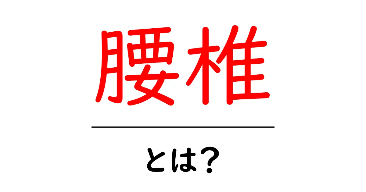 腰椎とは?その役割と重要性をわかりやすく解説共起語・同意語も併せて解説!