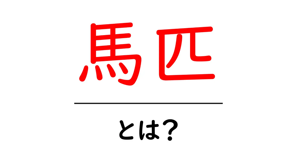 馬匹とは?その意味や特徴をわかりやすく解説!共起語・同意語も併せて解説!