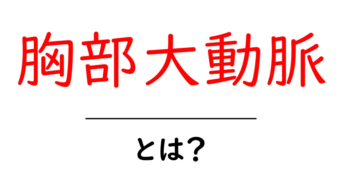 胸部大動脈とは?その役割と健康に与える影響を解説共起語・同意語も併せて解説!