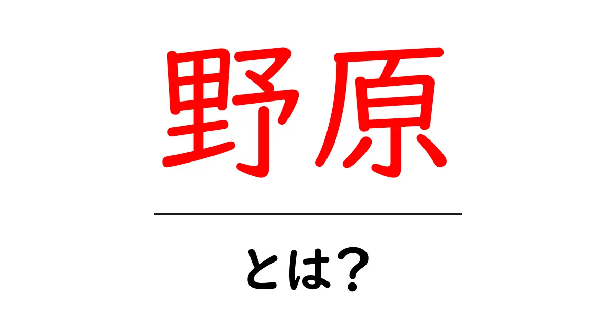 野原とは?自然の中での大切な空間を知ろう共起語・同意語も併せて解説!