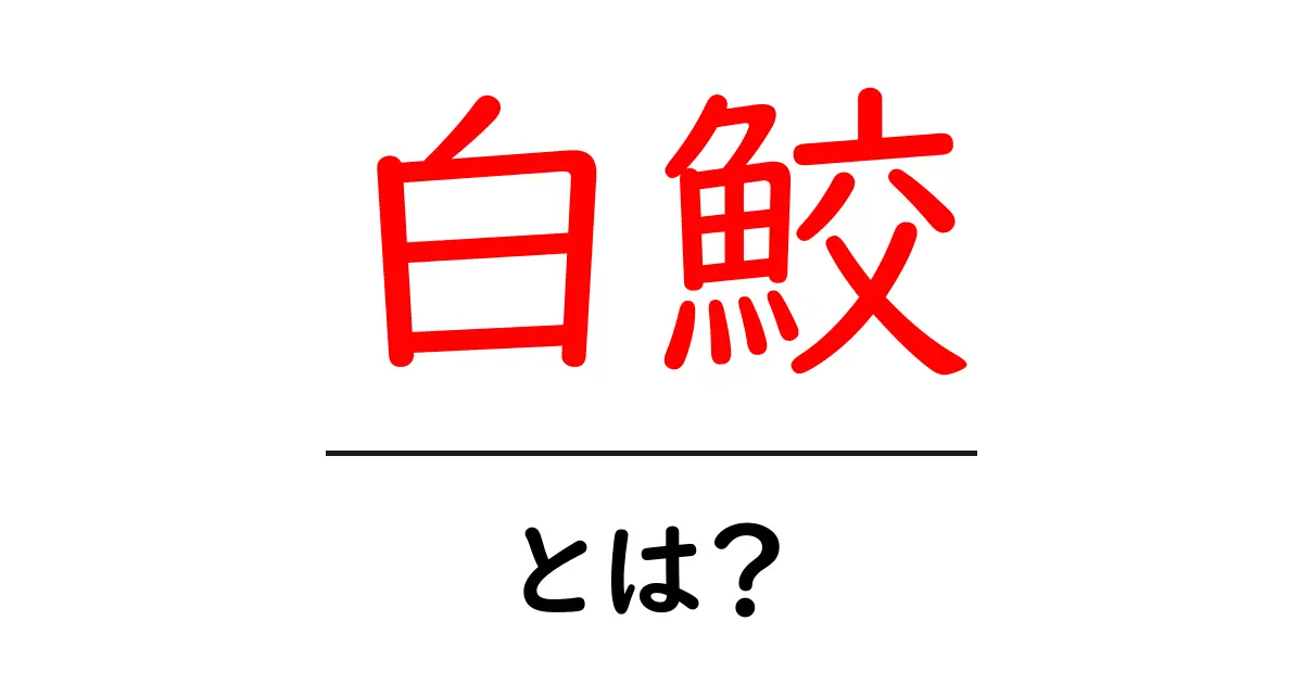 白鮫とは?その魅力や生態を徹底解説!共起語・同意語も併せて解説!