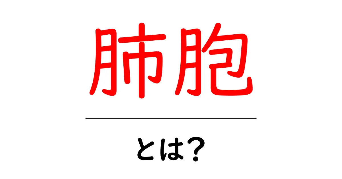 肺胞とは？私たちの健康に不可欠な小さな袋について知ろう！共起語・同意語も併せて解説！