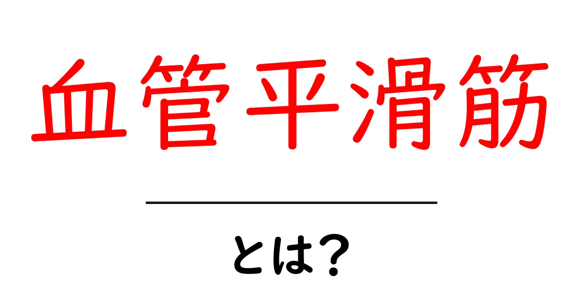 血管平滑筋とは?その役割と重要性をわかりやすく解説!共起語・同意語も併せて解説!