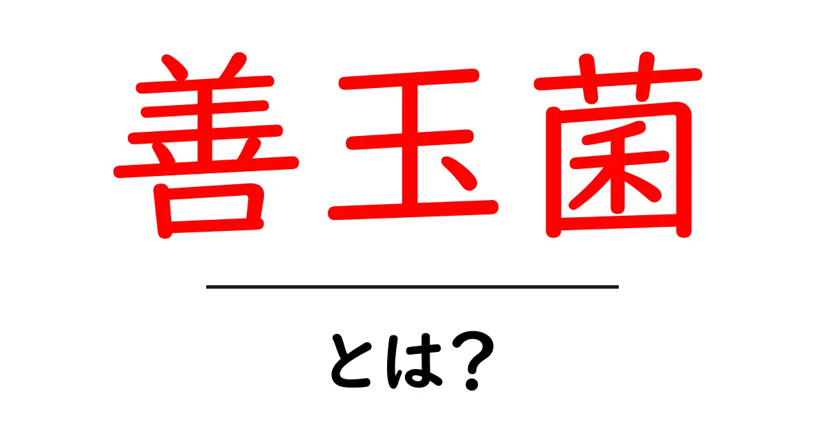 善玉菌とは?腸内環境を整える大切な存在共起語・同意語も併せて解説!