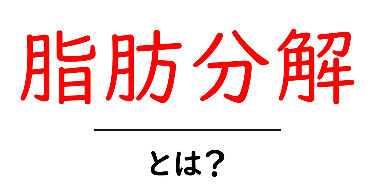 脂肪分解とは？健康的に痩せるための仕組みとその効果共起語・同意語も併せて解説！