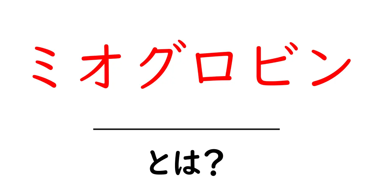 ミオグロビンとは?筋肉の酸素を運ぶ重要な役割を解説!共起語・同意語も併せて解説!