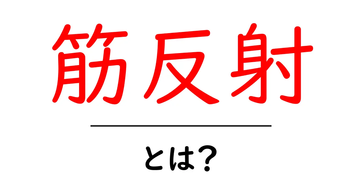 筋反射とは?体の不思議な反応を知ろう!共起語・同意語も併せて解説!