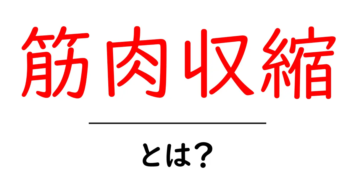 筋肉収縮とは？体が動く仕組みをわかりやすく解説！共起語・同意語も併せて解説！
